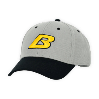 Borussia Dortmund баскетболна шапка с козирка grey B