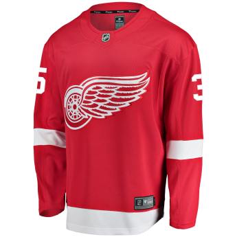 Detroit Red Wings хокейна фланелка #35 Jimmy Howard Breakaway Alternate Jersey