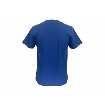 Toronto Maple Leafs детска тениска Divide Ss Ctn Tee