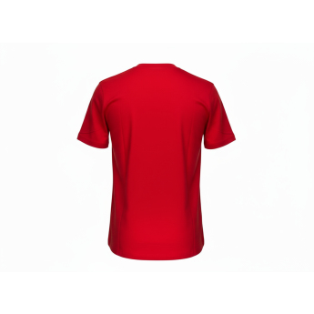 Detroit Red Wings детска тениска Apro Wordmark Ss Ctn Tee
