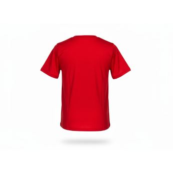 Chicago Blackhawks детска тениска Apro Wordmark Ss Ctn Tee red