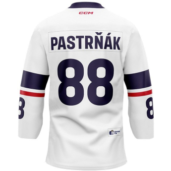 Отбори по хокей хокейна фланелка Czech Republic  2023/2024 CCM Fandres replica - white David Pastrňák #88