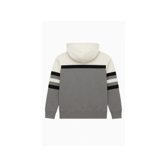 Chicago Blackhawks мъжки суитшърт с качулка Head Coach Hoodie Current Logo grey