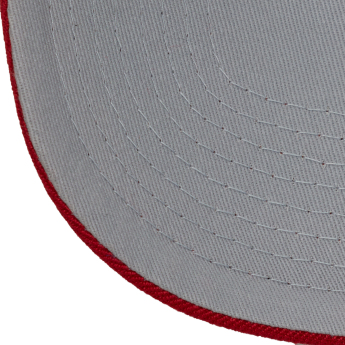 Detroit Red Wings баскетболна шапка с козирка Tailsweeps Pro Snapback