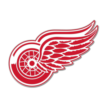 Detroit Red Wings значка Enamel Pin Jewelry Card