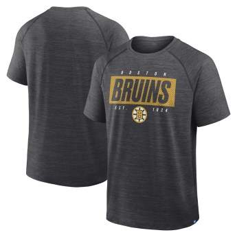 Boston Bruins мъжка тениска Vital grey