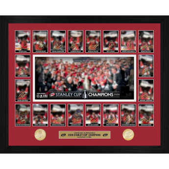 Carolina Hurricanes картина NHL 2026 Stanley Cup Champions Limited Edition Memorable Moments Bronze Coin Photo Mint