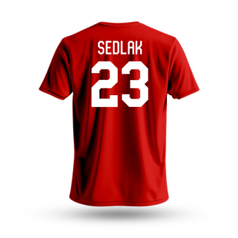 Pánské tričko Lukáš Sedlák #23 Czech National Emblem 2025 Red
