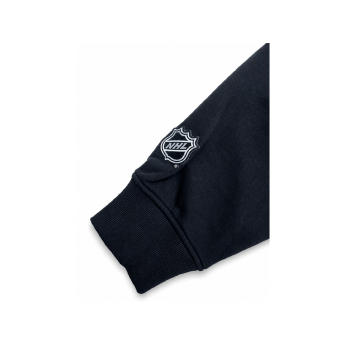 Boston Bruins мъжки суитшърт NHL Decent Logo