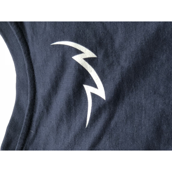 Отбори по хокей мъжка тениска navy Czech Ice Hockey logo lion