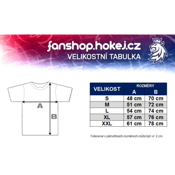 Отбори по хокей мъжка тениска navy Czech Ice Hockey logo lion