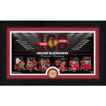 Chicago Blackhawks колекционерски плакет 100th bronze coin Timeline photo mint