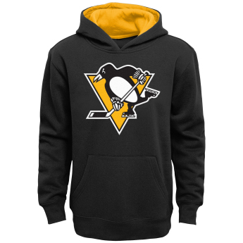 Pittsburgh Penguins детски суитшърт с качулка Prime Po Flc Hood Home