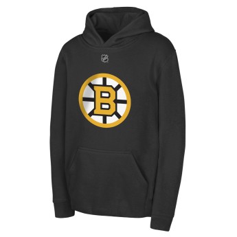 Boston Bruins детски суитшърт с качулка David Pastrnak #88 NHL Flat Name & Number Fleece