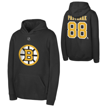 Boston Bruins детски суитшърт с качулка David Pastrnak #88 NHL Flat Name & Number Fleece