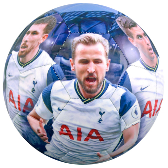 Tottenham Hotspur футболна топка players photo football