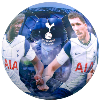 Tottenham Hotspur футболна топка players photo football