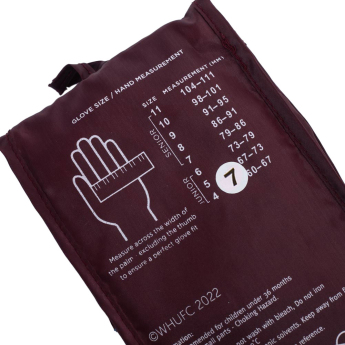 West Ham United детски вратарски ръкавици Yths DT 79-86mm palm width