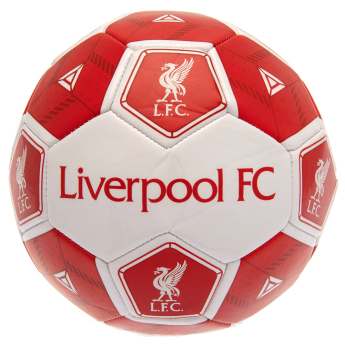 Liverpool FC мини футболна топка Football HX Size 3