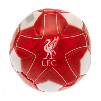 Liverpool FC мека топка 4 inch Soft Ball