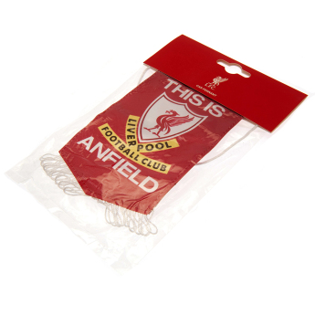 Liverpool FC знаменце Mini Pennant TIA white