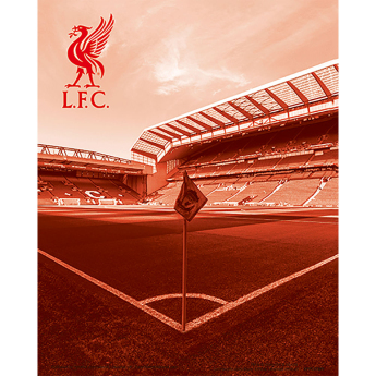 Liverpool FC 3D снимка 3D Print