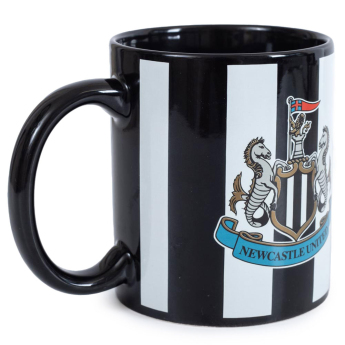 Newcastle United халба Striped