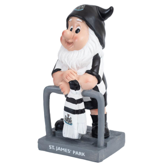 Newcastle United джудже Terrace