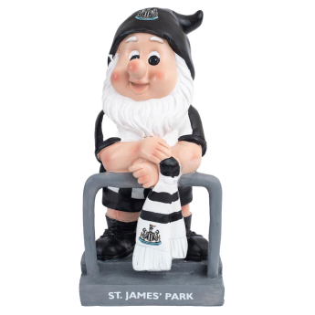 Newcastle United джудже Terrace