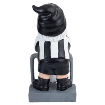Newcastle United джудже Terrace