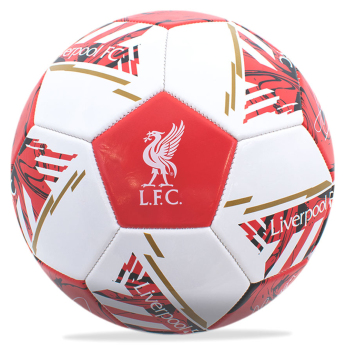 Liverpool FC футболен комплект water bottle - hand pump - size 5 ball