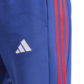 Arsenal FC мъжки спортен панталон DNE blue