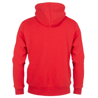 Arsenal FC мъжки суитшърт с качулка Zip red