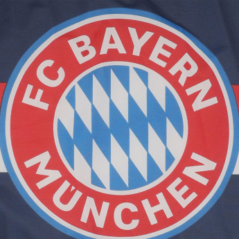 FC Bayern Munich знаме stripes navy