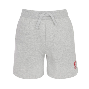 Liverpool FC детски къси панталони Sweat grey