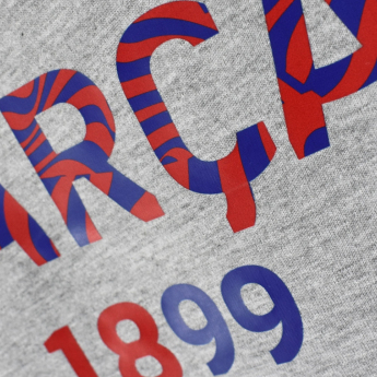 FC Barcelona мъжка тениска Biescut grey