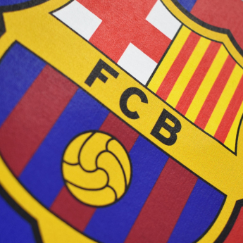 FC Barcelona мъжки суитшърт с качулка Bandera grey