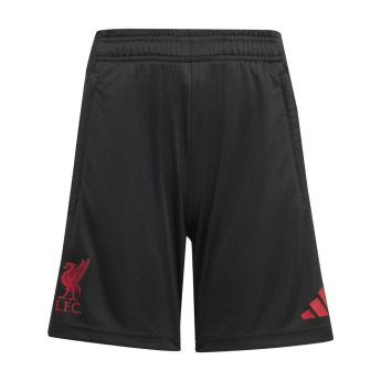 Liverpool FC детски тренировъчни шорти black