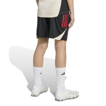 Liverpool FC детски тренировъчни шорти black