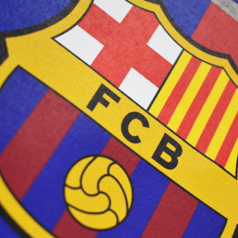 FC Barcelona детски суитшърт с качулка Camp Nou grey