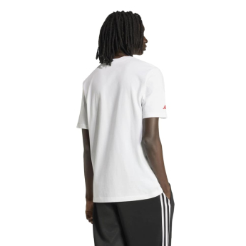 Arsenal FC мъжка тениска Seasonal Graphic white