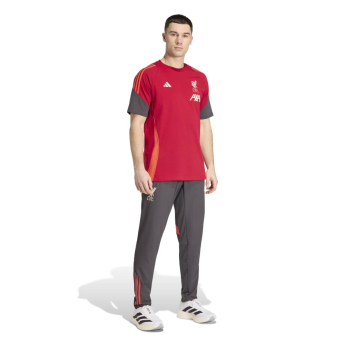 Liverpool FC мъжка тениска Tiro Tee red