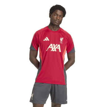Liverpool FC мъжка тренировъчна фланелка Tiro red