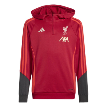 Liverpool FC детски суитшърт с качулка Track red