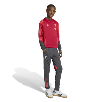 Liverpool FC детски суитшърт с качулка Track red