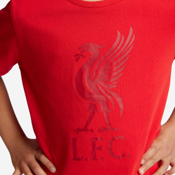 Liverpool FC детска тениска liverbird red