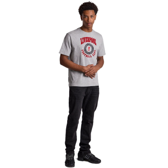 Liverpool FC мъжка тениска Collegiate grey