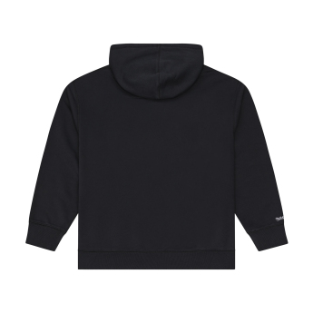 Boston Bruins мъжки суитшърт с качулка NHL Street Graphics Core Hoodie