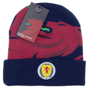 Футболни отбори шапка Cuff Beanie