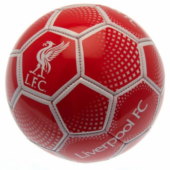 Liverpool FC футболна топка Football DM